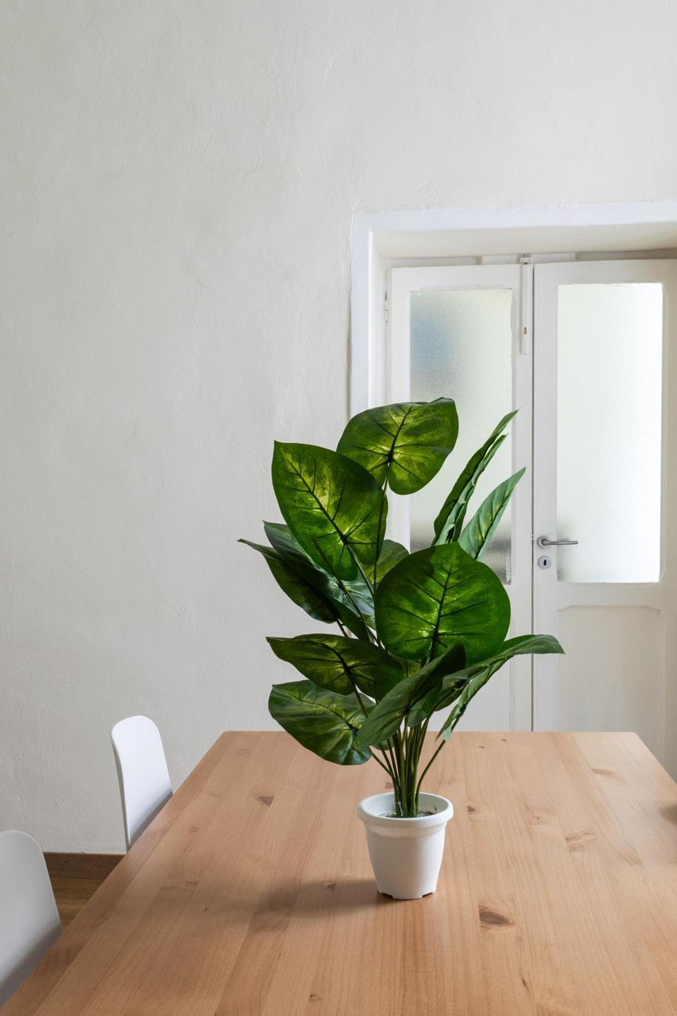 Cozy Historical Flat Napoli Apartment ภายนอก รูปภาพ