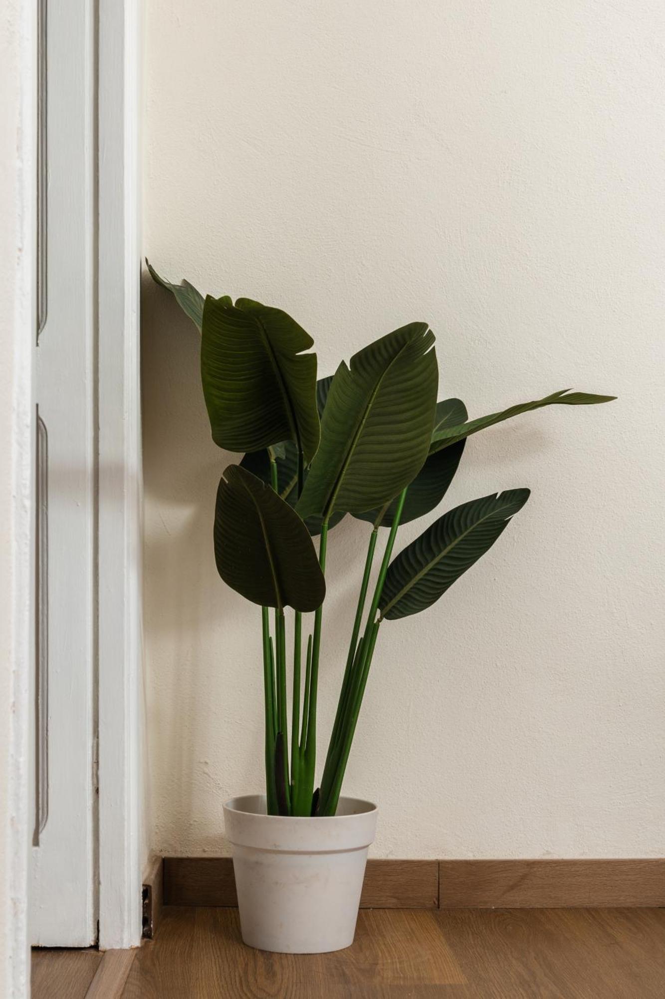 Cozy Historical Flat Napoli Apartment ภายนอก รูปภาพ